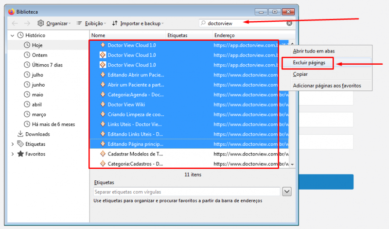 Arquivo:Pesquisa seleção firefox.png